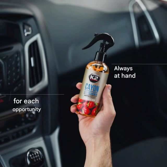 Car Air Freshener